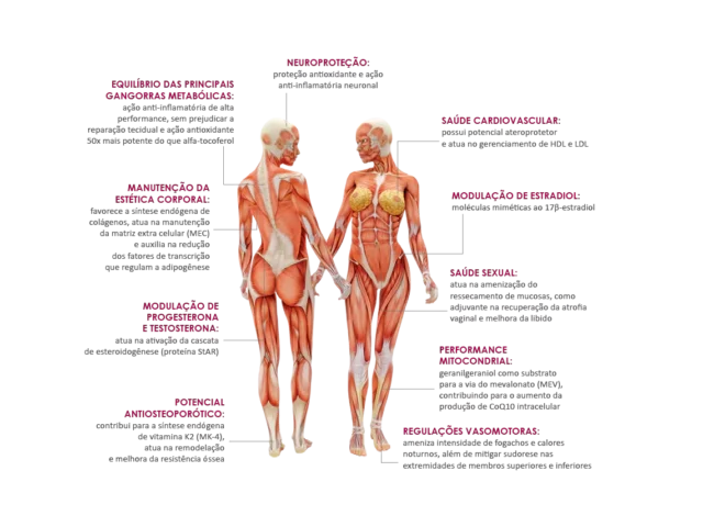 SAÚDE HORMONAL Ormona